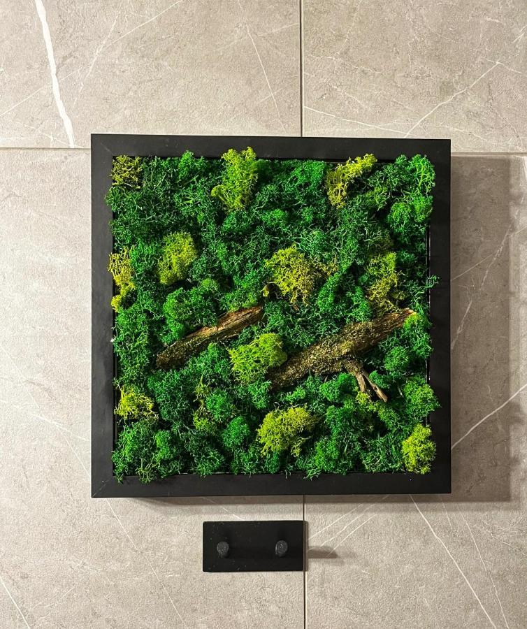 Moje Pieniny Apartament Szczawnica Buitenkant foto