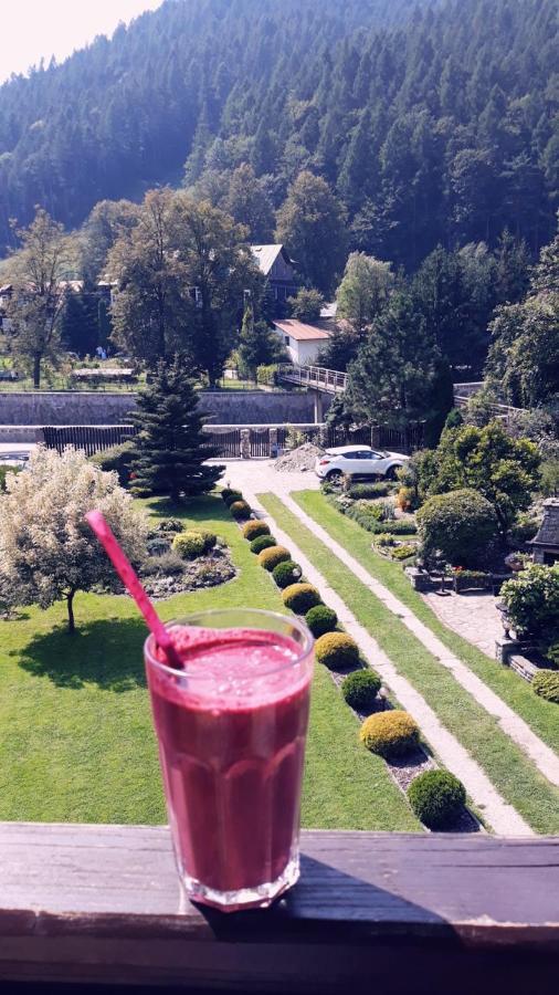 Moje Pieniny Apartament Szczawnica Buitenkant foto